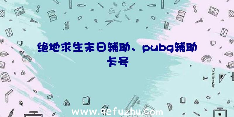 绝地求生末日辅助、pubg辅助卡号