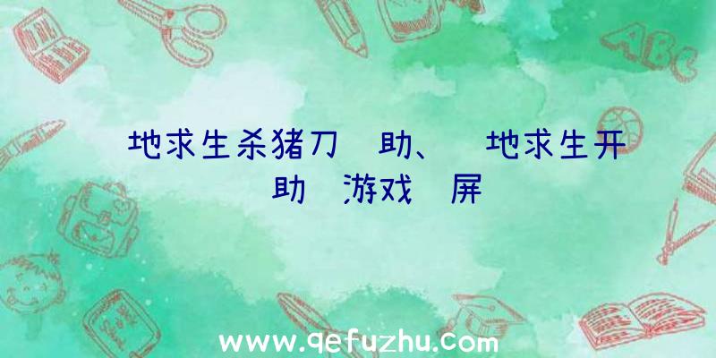 绝地求生杀猪刀辅助、绝地求生开辅助进游戏蓝屏