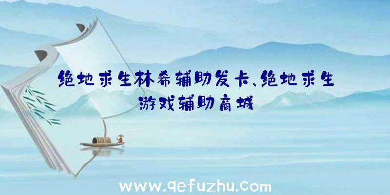 绝地求生林希辅助发卡、绝地求生游戏辅助商城