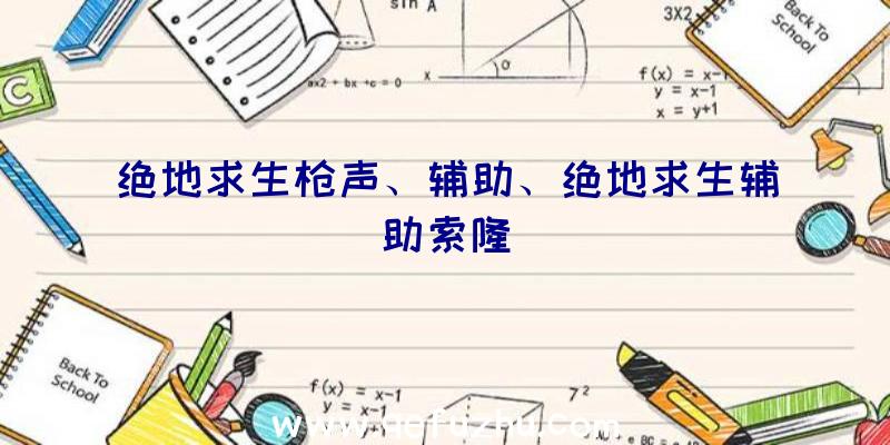 绝地求生枪声、辅助、绝地求生辅助索隆