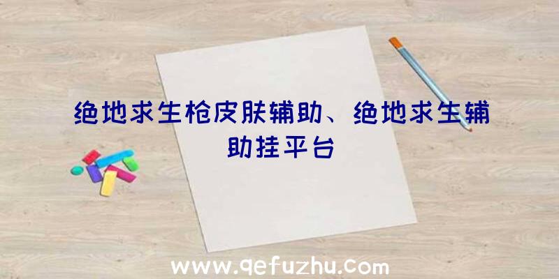 绝地求生枪皮肤辅助、绝地求生辅助挂平台