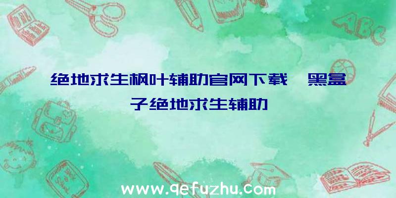 绝地求生枫叶辅助官网下载、黑盒子绝地求生辅助