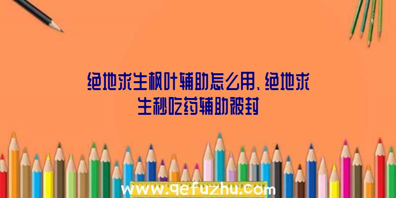 绝地求生枫叶辅助怎么用、绝地求生秒吃药辅助被封