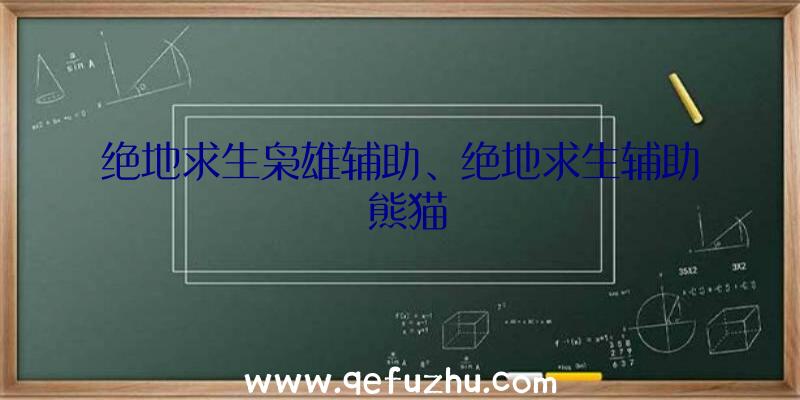 绝地求生枭雄辅助、绝地求生辅助