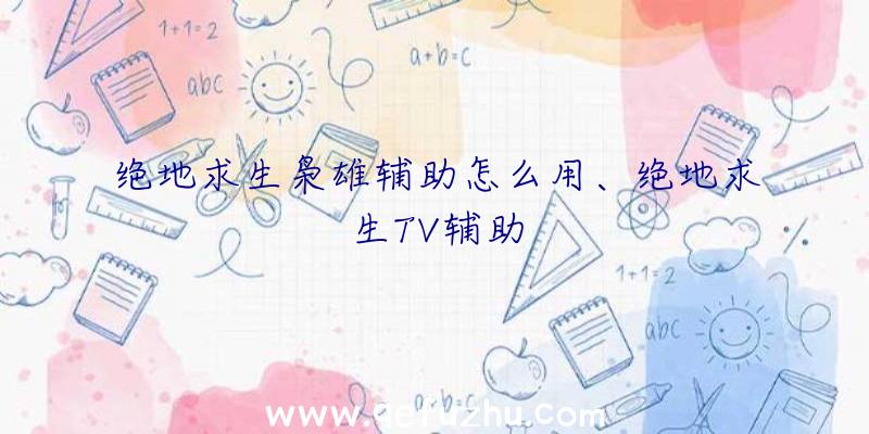 绝地求生枭雄辅助怎么用、绝地求生TV辅助