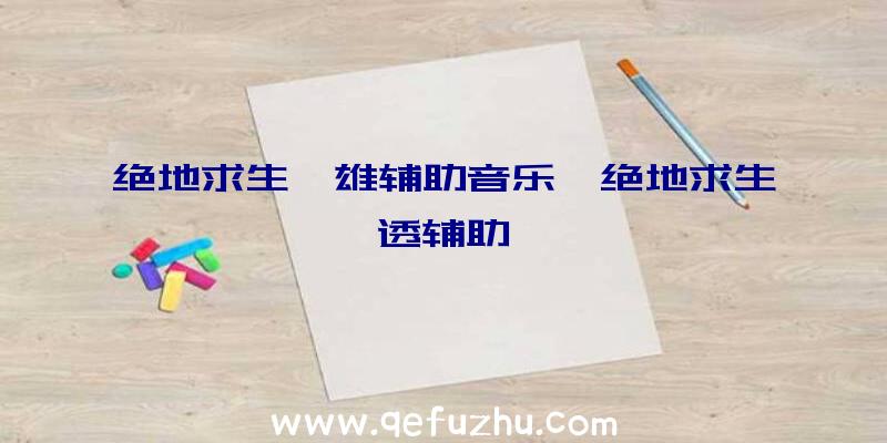 绝地求生枭雄辅助音乐、绝地求生透辅助