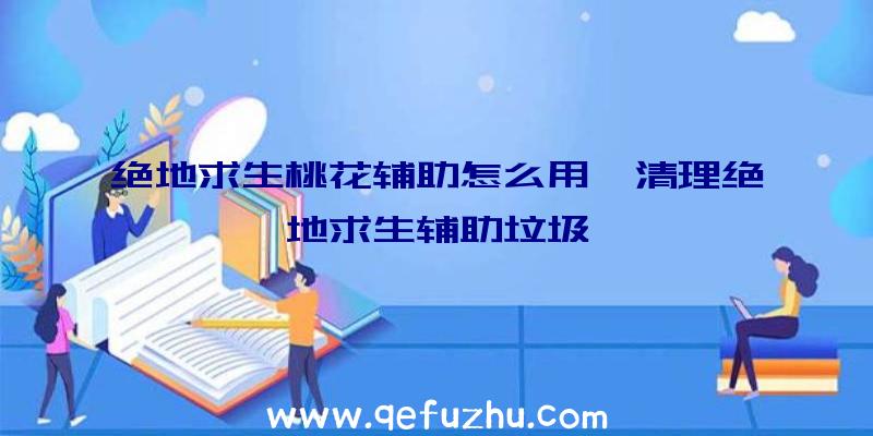 绝地求生桃花辅助怎么用、清理绝地求生辅助垃圾