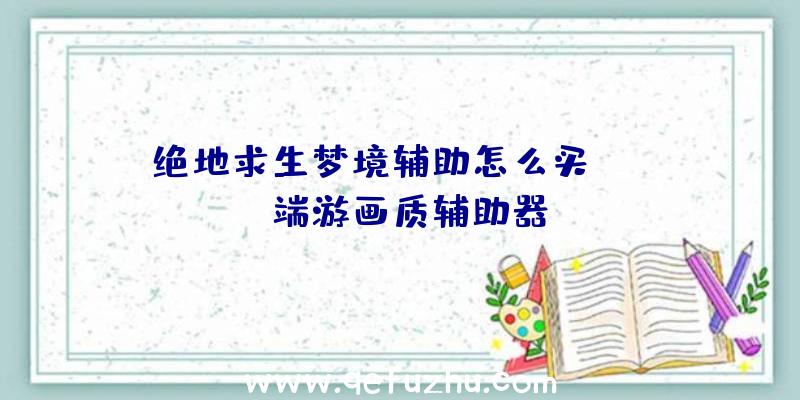 绝地求生梦境辅助怎么买、pubg端游画质辅助器