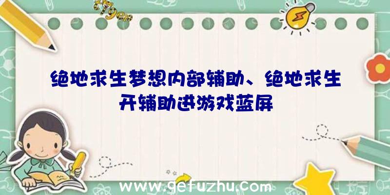 绝地求生梦想内部辅助、绝地求生开辅助进游戏蓝屏