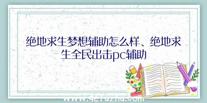 绝地求生梦想辅助怎么样、绝地求生全民出击pc辅助