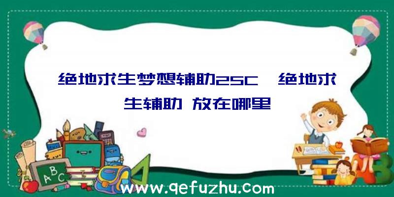 绝地求生梦想辅助25C、绝地求生辅助