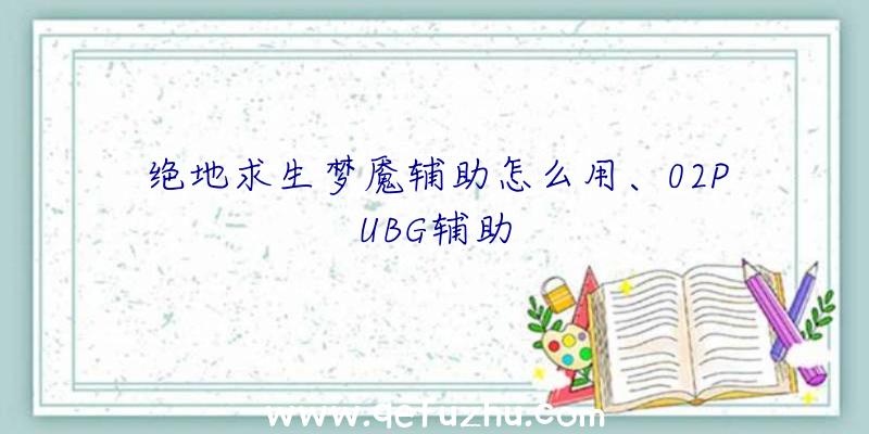 绝地求生梦魇辅助怎么用、02PUBG辅助