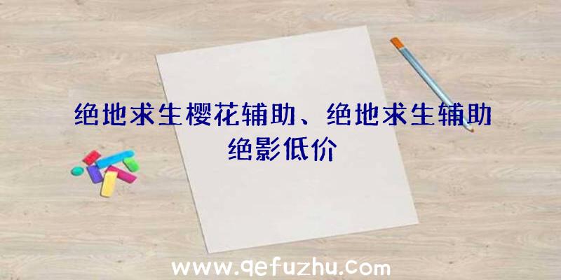 绝地求生樱花辅助、绝地求生辅助绝影低价