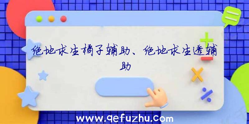 绝地求生橘子辅助、绝地求生透辅助