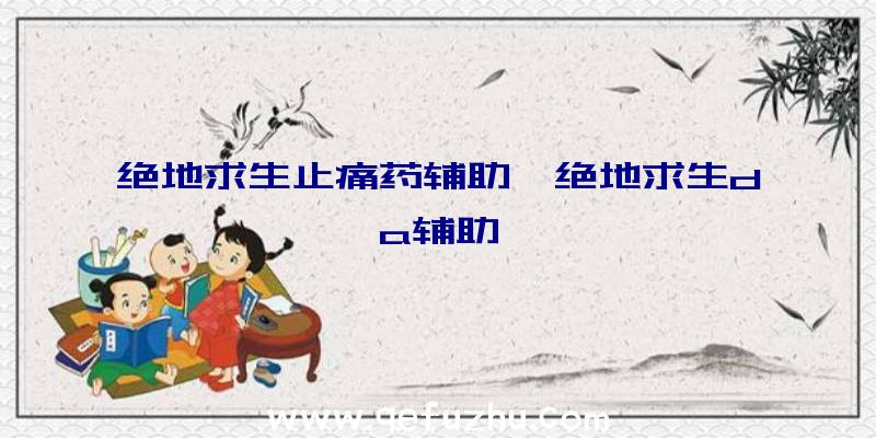 绝地求生止痛药辅助、绝地求生da辅助