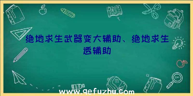 绝地求生武器变大辅助、绝地求生透辅助