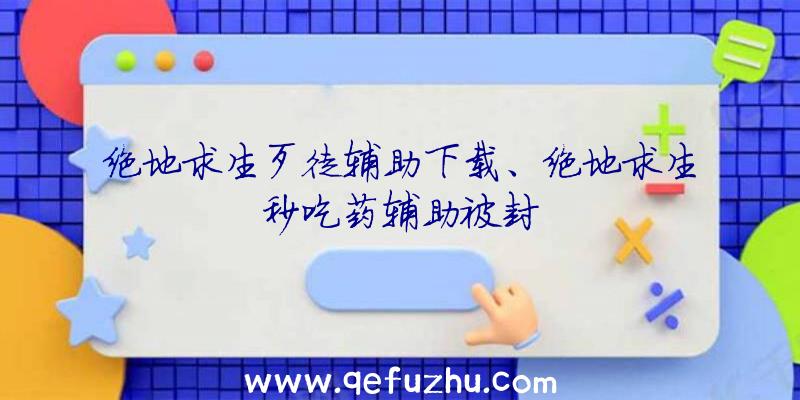 绝地求生歹徒辅助下载、绝地求生秒吃药辅助被封