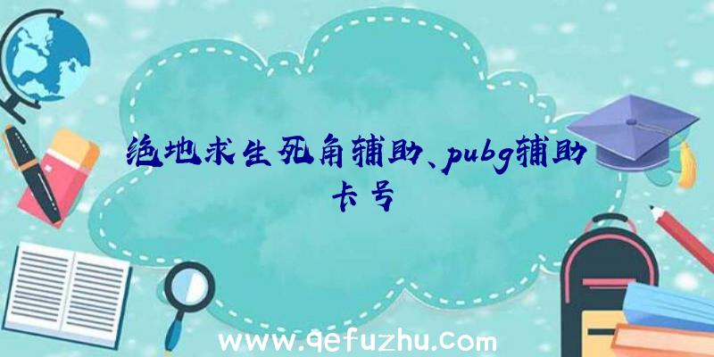 绝地求生死角辅助、pubg辅助卡号