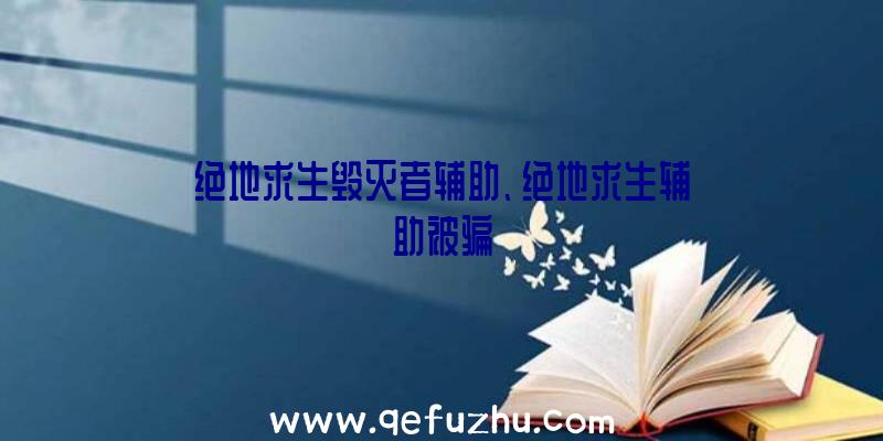 绝地求生毁灭者辅助、绝地求生辅助被骗