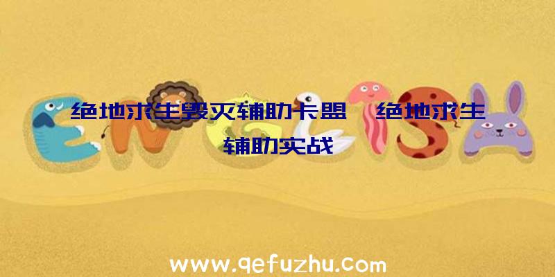 绝地求生毁灭辅助卡盟、绝地求生辅助实战