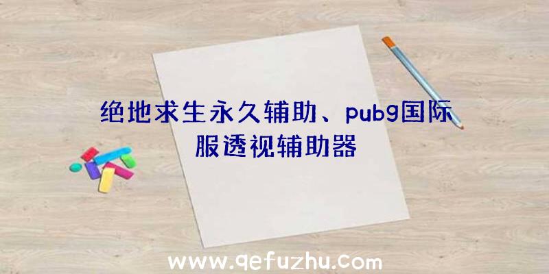 绝地求生永久辅助、pubg国际服透视辅助器