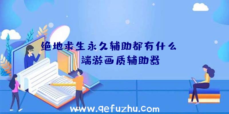 绝地求生永久辅助都有什么、pubg端游画质辅助器