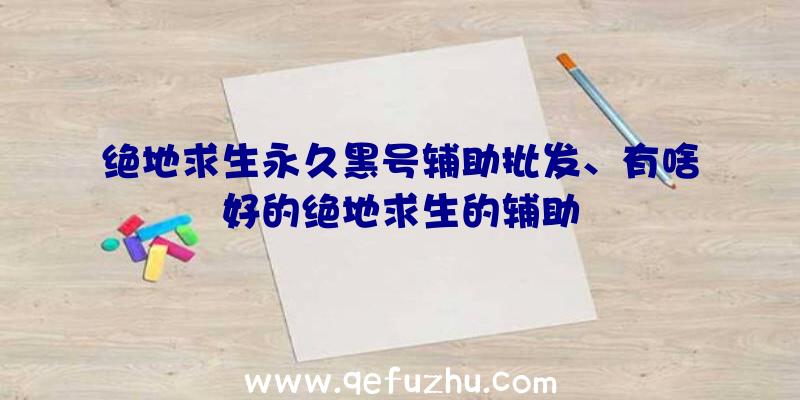 绝地求生永久黑号辅助批发、有啥好的绝地求生的辅助