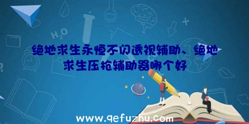 绝地求生永恒不闪透视辅助、绝地求生压枪辅助器哪个好