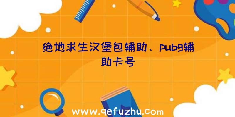 绝地求生汉堡包辅助、pubg辅助卡号