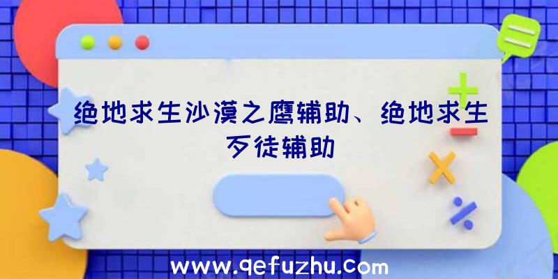 绝地求生沙漠之鹰辅助、绝地求生歹徒辅助