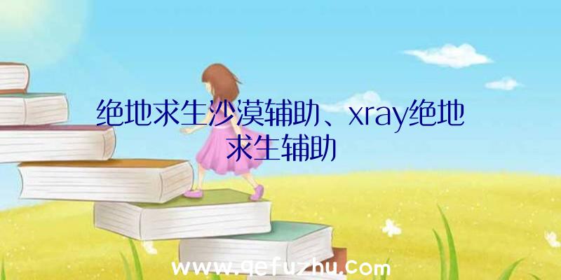 绝地求生沙漠辅助、xray绝地求生辅助