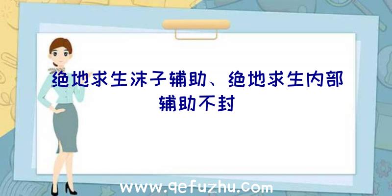 绝地求生沫子辅助、绝地求生内部辅助不封