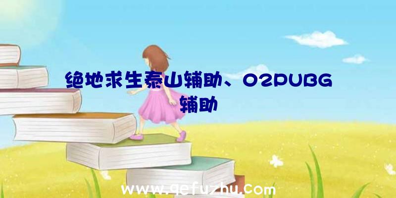 绝地求生泰山辅助、02PUBG辅助