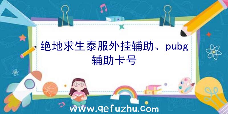 绝地求生泰服外挂辅助、pubg辅助卡号