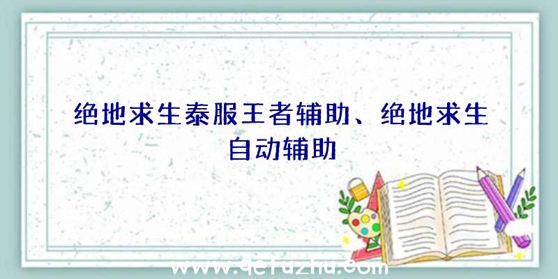 绝地求生泰服王者辅助、绝地求生自动辅助