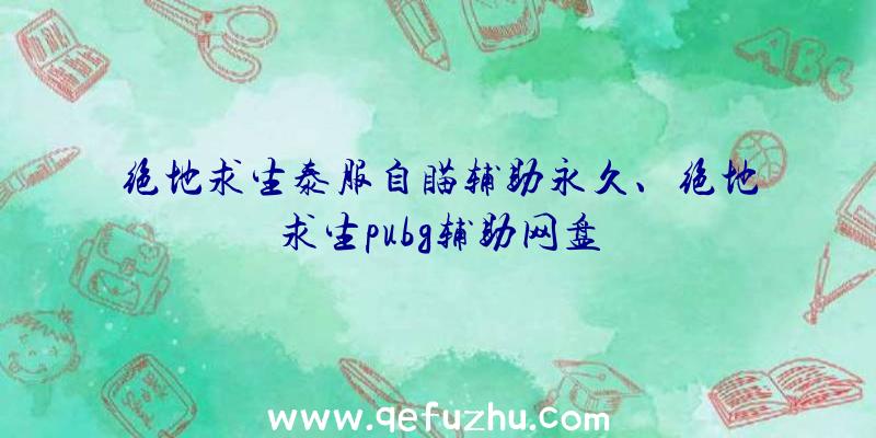 绝地求生泰服自瞄辅助永久、绝地求生pubg辅助网盘