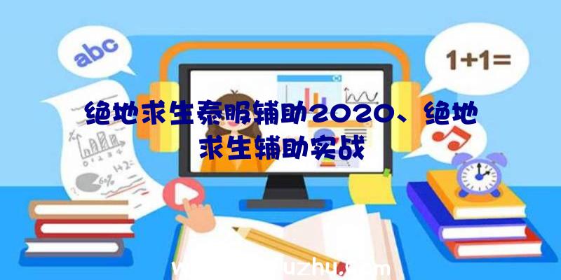 绝地求生泰服辅助2020、绝地求生辅助实战