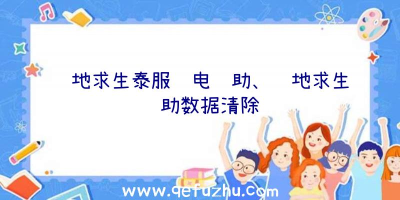 绝地求生泰服闪电辅助、绝地求生辅助数据清除