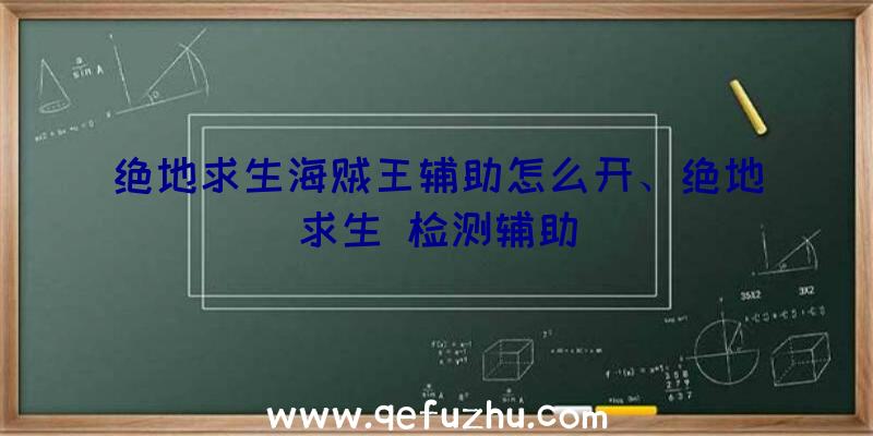 绝地求生海贼王辅助怎么开、绝地求生