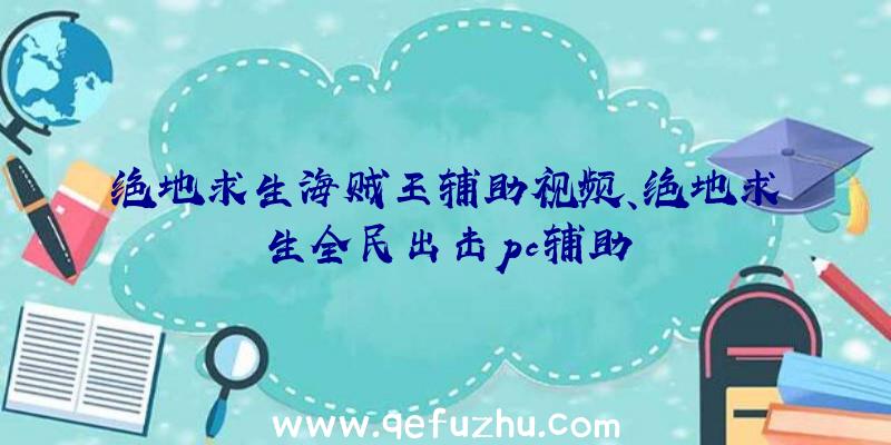 绝地求生海贼王辅助视频、绝地求生全民出击pc辅助