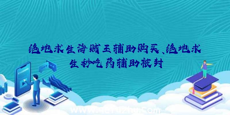 绝地求生海贼王辅助购买、绝地求生秒吃药辅助被封