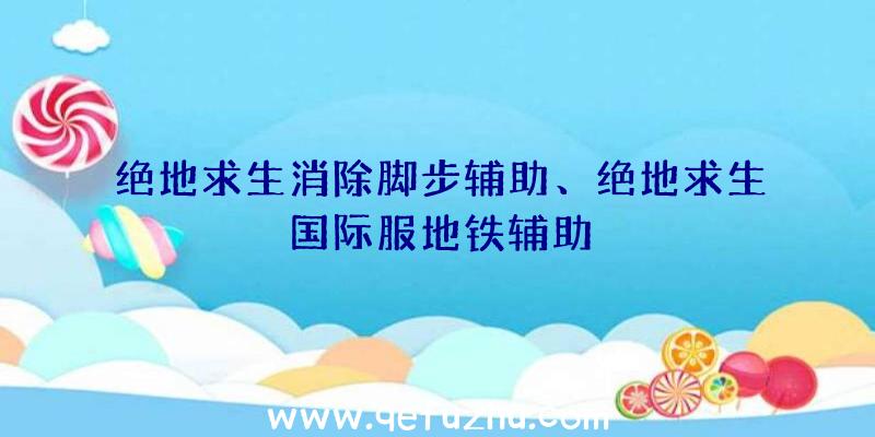 绝地求生消除脚步辅助、绝地求生国际服地铁辅助