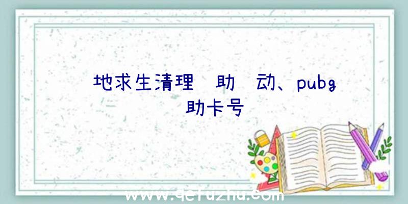 绝地求生清理辅助驱动、pubg辅助卡号