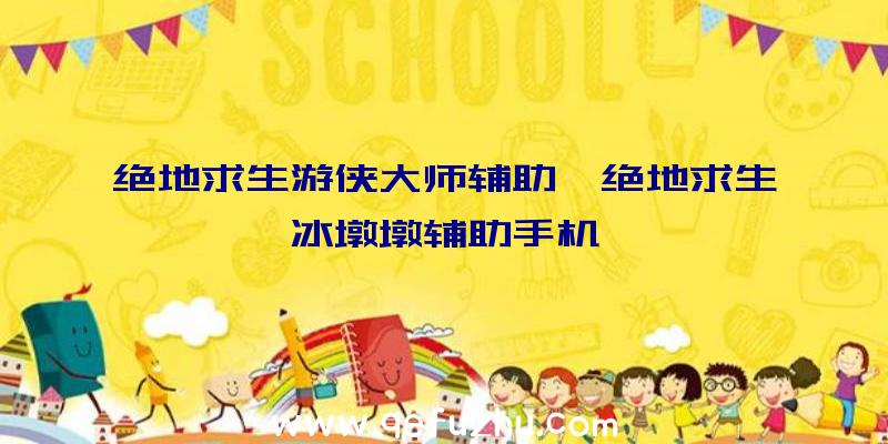 绝地求生游侠大师辅助、绝地求生冰墩墩辅助手机