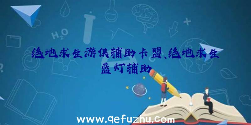 绝地求生游侠辅助卡盟、绝地求生蓝灯辅助