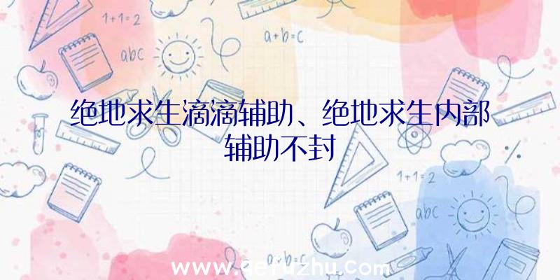 绝地求生滴滴辅助、绝地求生内部辅助不封