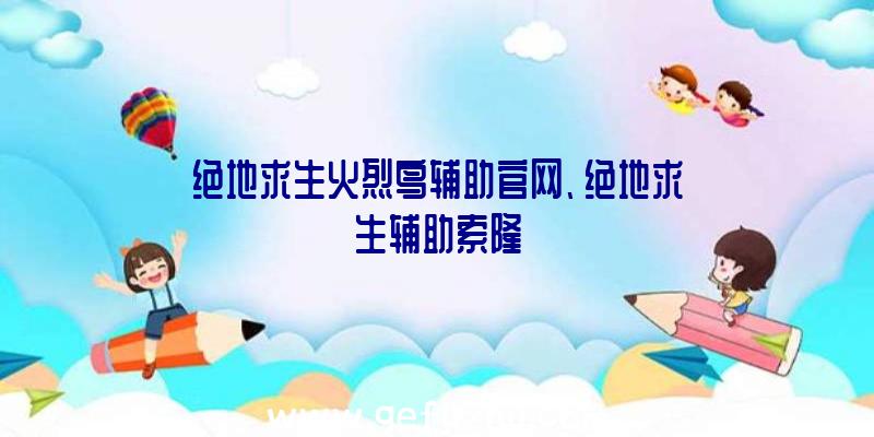 绝地求生火烈鸟辅助官网、绝地求生辅助索隆