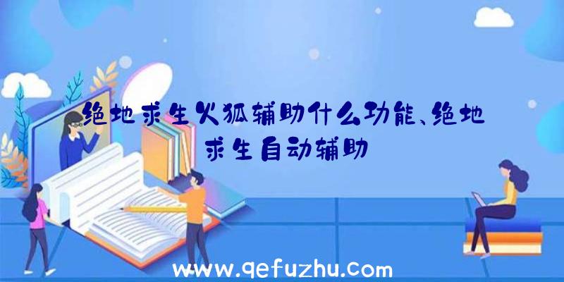 绝地求生火狐辅助什么功能、绝地求生自动辅助