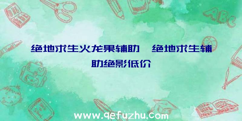 绝地求生火龙果辅助、绝地求生辅助绝影低价