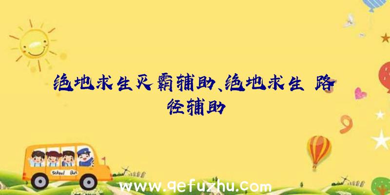 绝地求生灭霸辅助、绝地求生